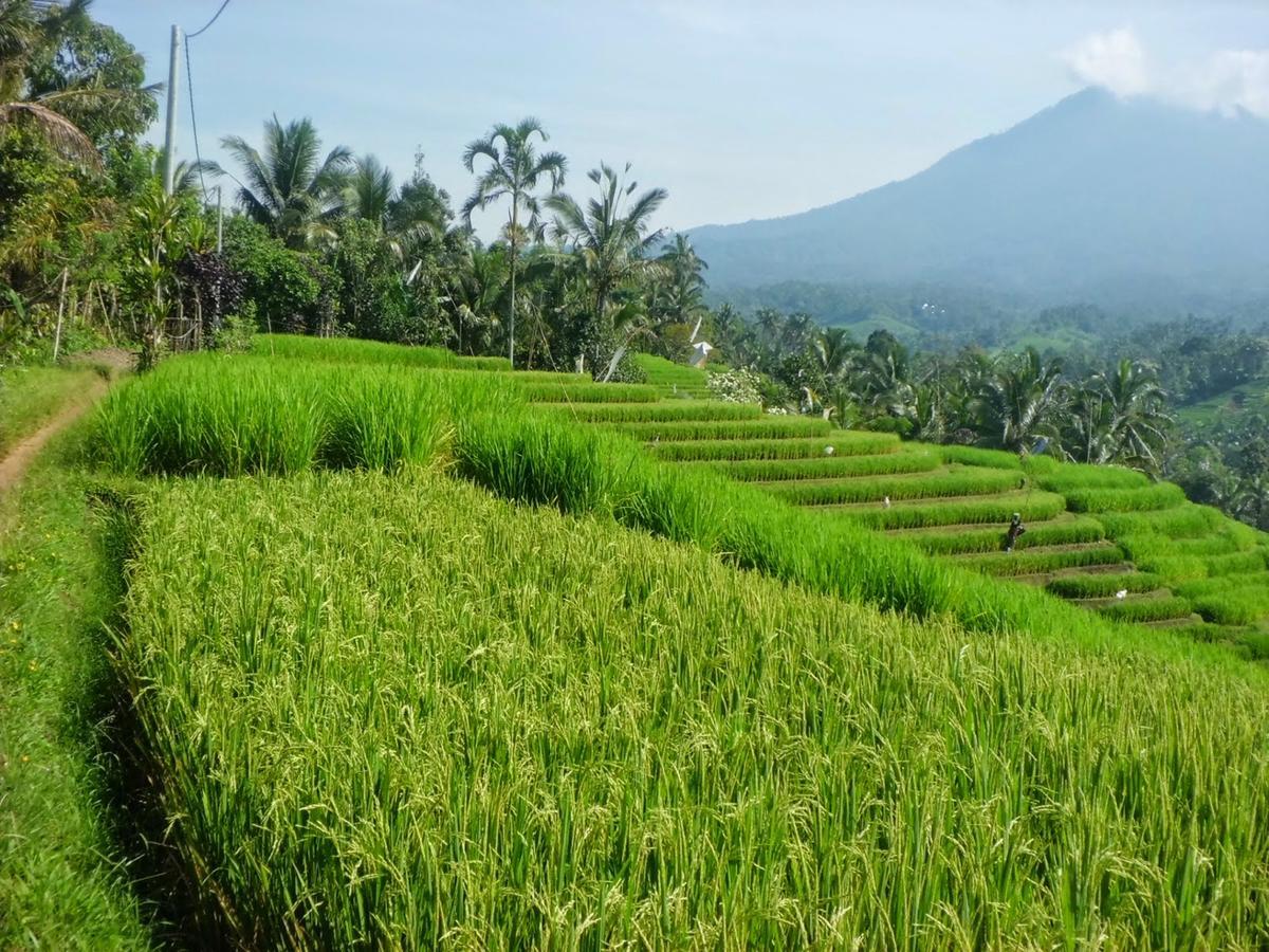 Zen Rooms Basic Kuta Kubu Anyar Eksteriør bilde